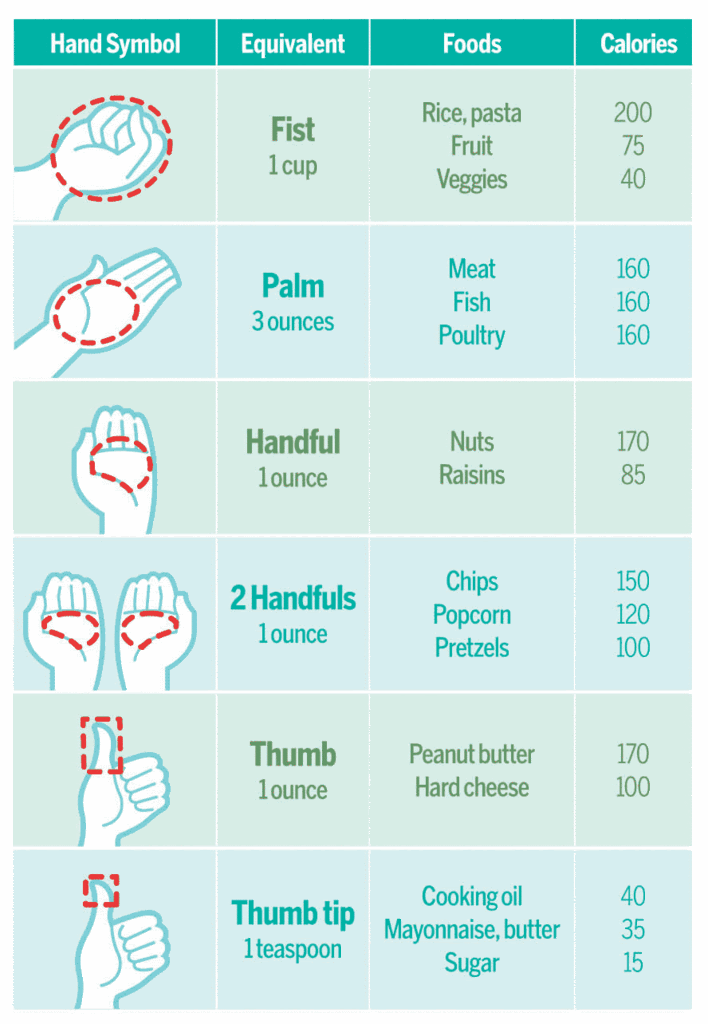 portion size chart. Portion Sizes - Through My