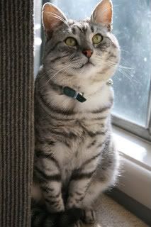 IMAGE: http://i836.photobucket.com/albums/zz283/Annie99_2010/IMG_7391.jpg