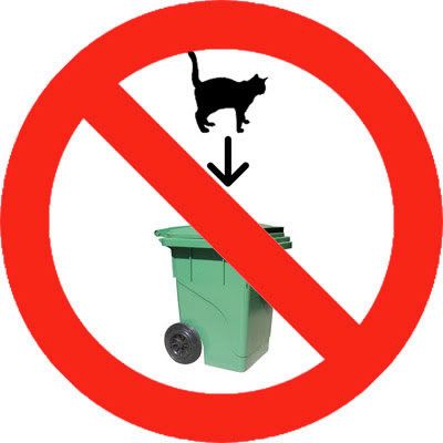 IMAGE: http://i836.photobucket.com/albums/zz283/Annie99_2010/catinbin.jpg