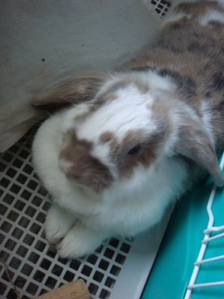 图片点击可在新窗口打开查看