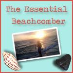 I Love the Ocean & this blog!