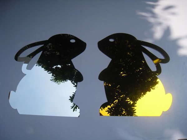 rabbit mirror(600) 1