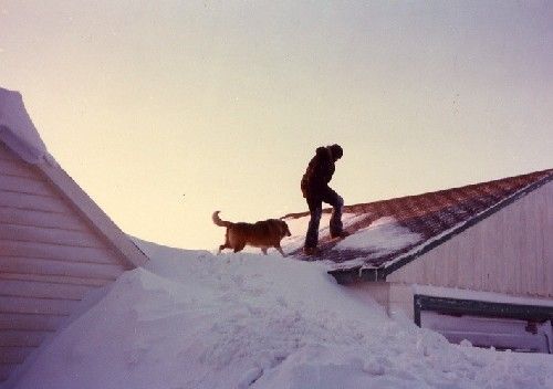 Blizzard77Roof_zps22b31fbe.jpg