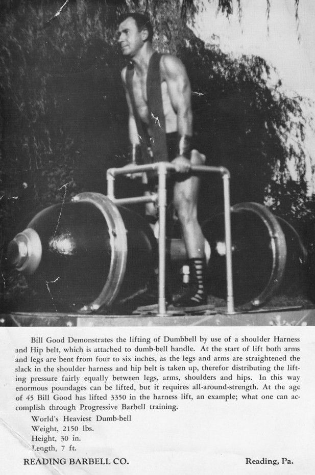 Harness-Lifting1_zpswvmccwwj.jpg